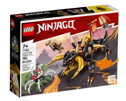 LEGO NINJAGO - LE DRAGON DE LA TERRE DE COLE EVO #71782